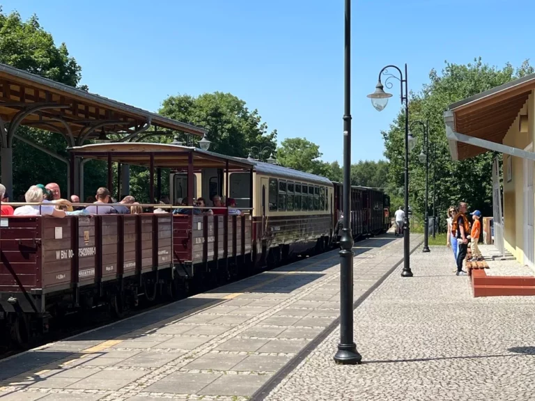 A 19th-century narrow-gauge train