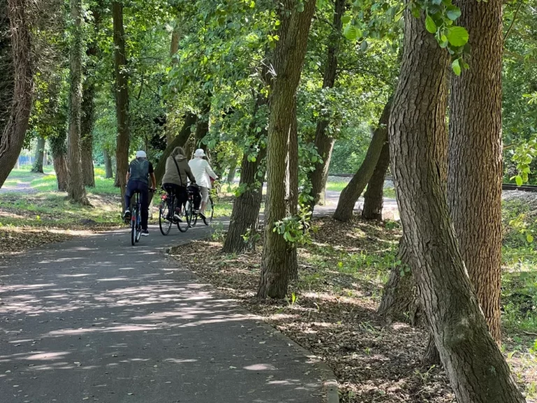 hiking biking trails Rewal